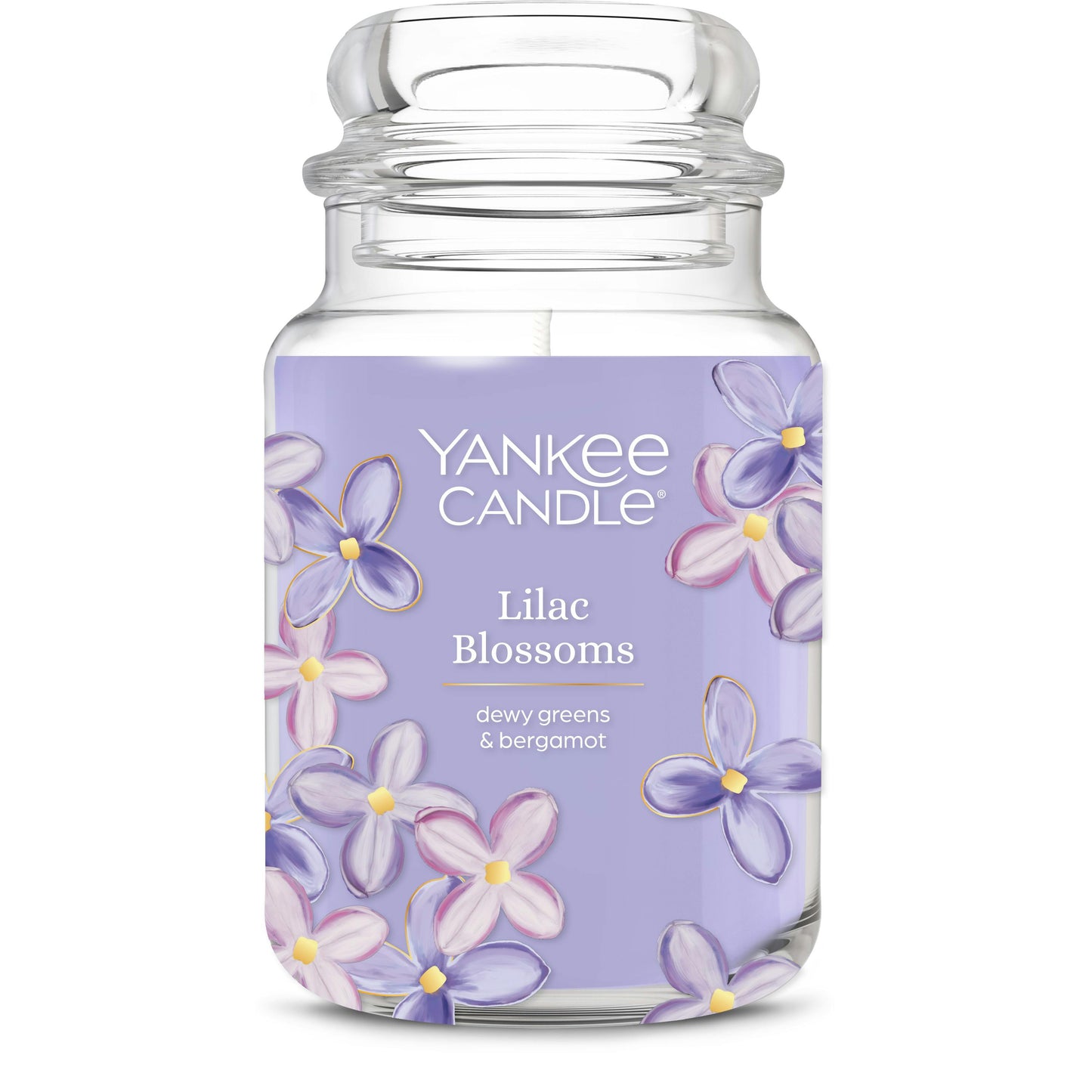 Lilac Blossoms 8PLZ