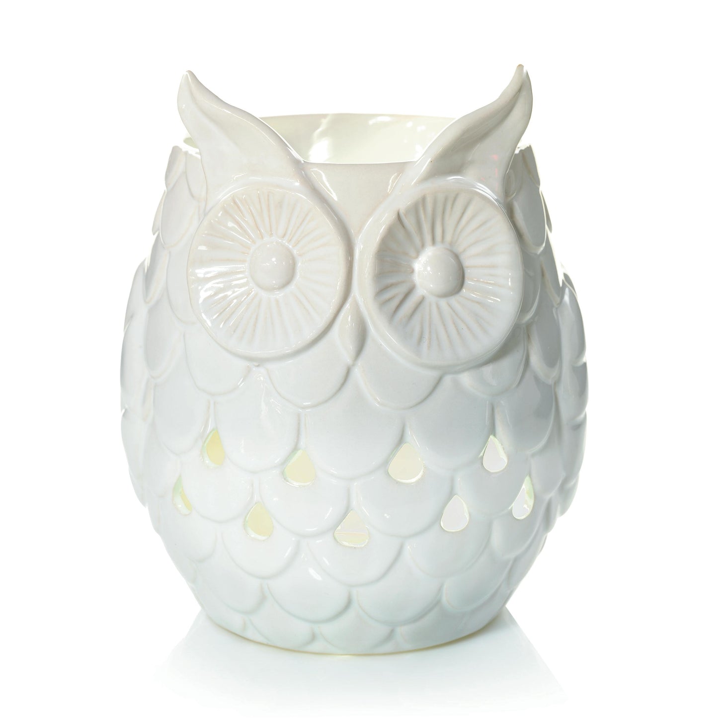 Owl EEJ7