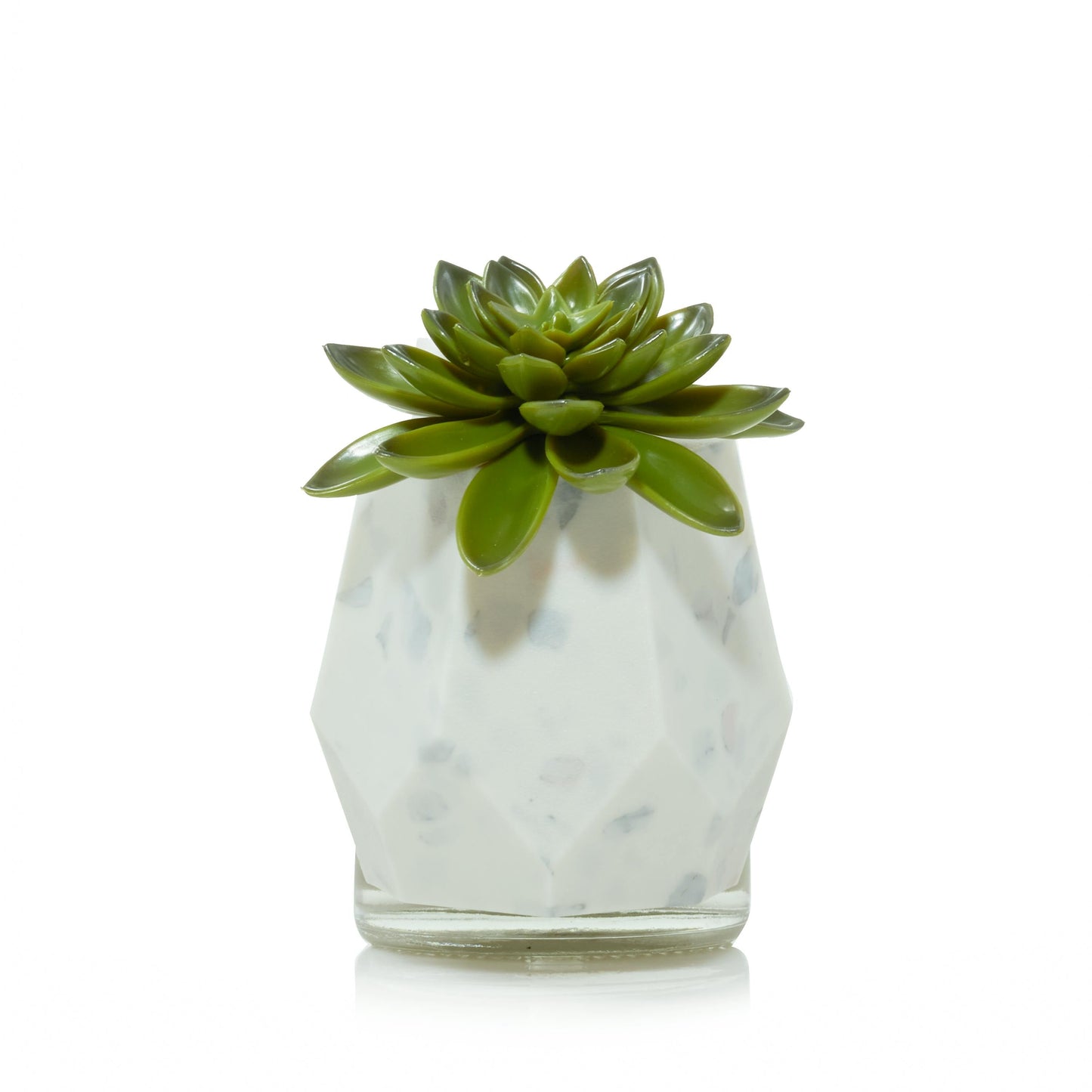Faceted Succulent ScentPlug® Diffuser with Light QFQ6