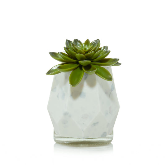 Faceted Succulent ScentPlug® Diffuser with Light QFQ6